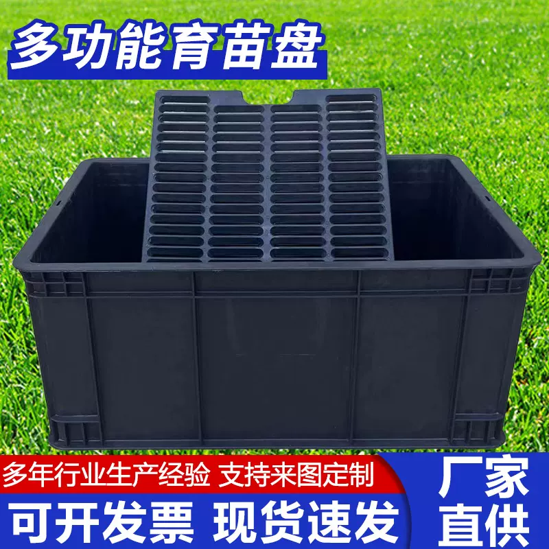 花生芽催芽盘平盘育苗盘苗木多肉蔬菜塑料秧盘现货铁皮石斛育苗盘