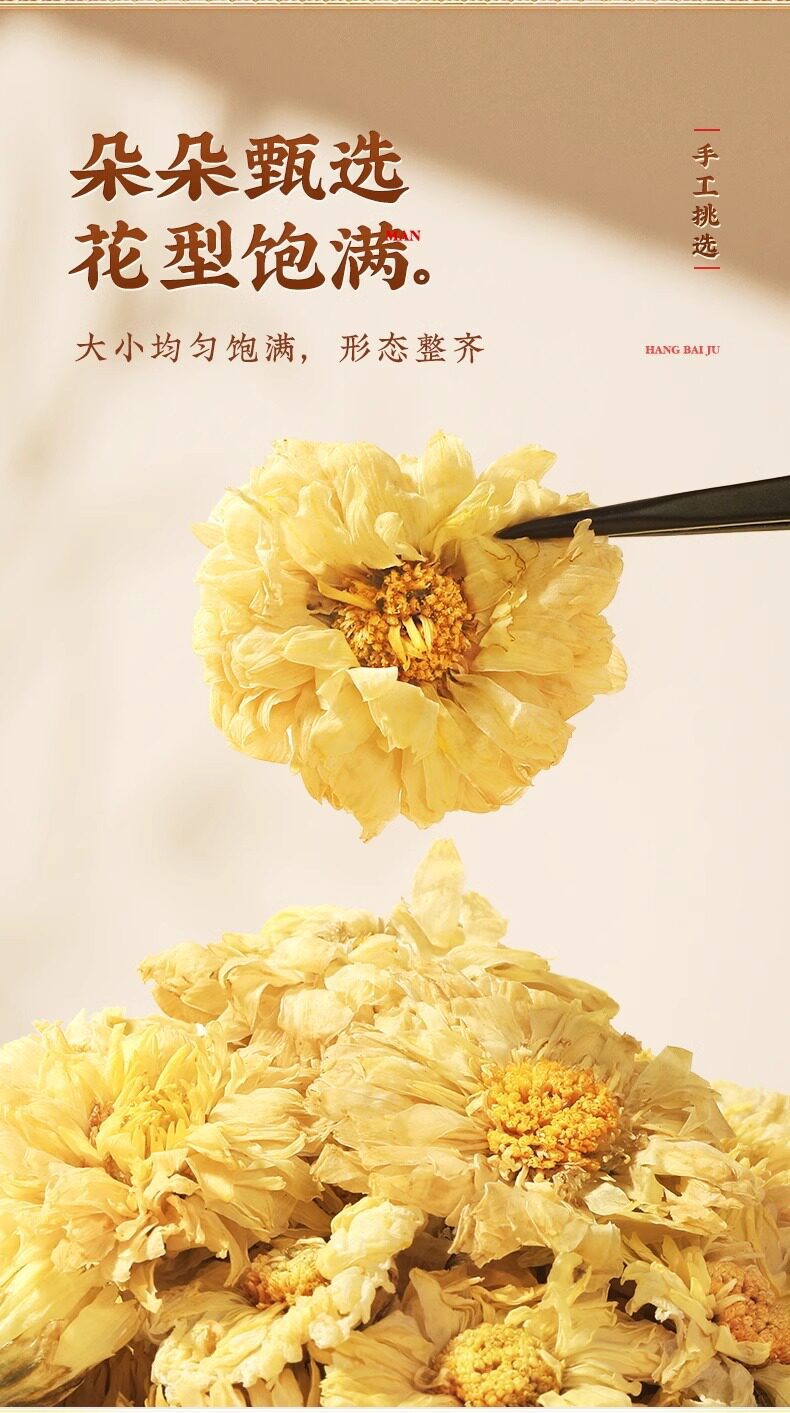 Premium Hangzhou White Chrysanthemum Flower Tea Tai Ju Dried Buds 65g Canned specifications