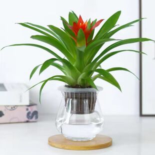 ˮ�����\���^�������Լt���P��ˮ���҃ȾGֲ���Գ���ȩ����ȩ�ߙn