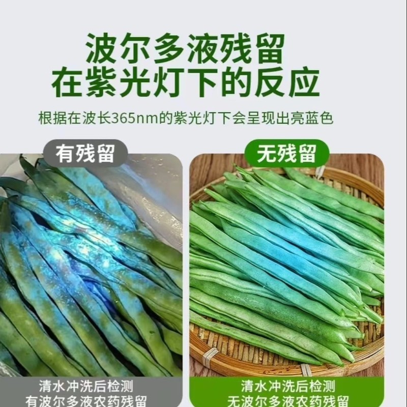 家用果蔬检测灯波尔多液荧光剂紫光灯365nm手电筒玉石纸币鉴定灯|undefined