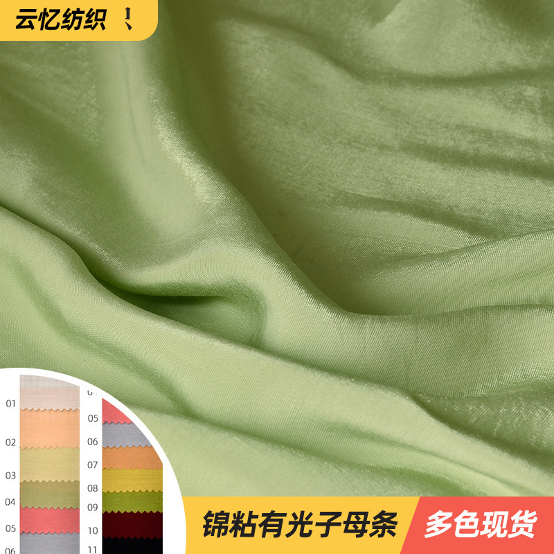 春蚕丝 锦粘有光子母条春夏新品连衣裙衬衫上衣时尚女装面料