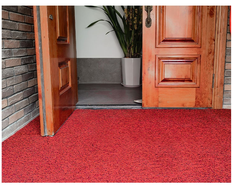 Cutting Silk Ring Floor Mat Door Entrance Door Mat Hall Household Anti-Slip Mat Car Door Plastic Foot Mat Carpet