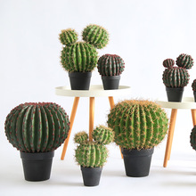 ����������Gֲ�������Ԕ[��ɳĮֲ��������ƼҾ��bᎧ�쾰