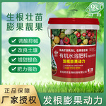 增甜上色生根养根抗重抗碱 氨基酸肥料  发根膨果动力蔬菜 冲施肥