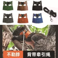 【2026夏末新款】花枝鼠专用牵引绳 - 透气防挣脱,遛鼠更安心