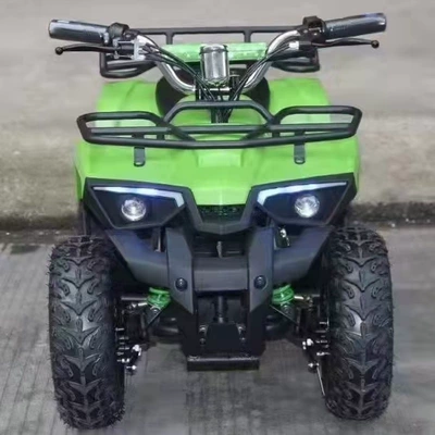 Little Warrior Atv, Electric Avtomobil və motosiklet məhsulları istehsal avadan