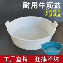 养鸭水池鸭子游泳盆子洗澡盆柯尔鸭游泳池狗狗可折叠浴盆泳麦太保