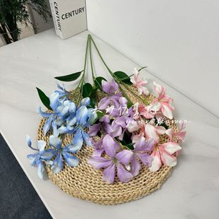 7�^�����m���滨�������û�c�û��Ƶ�ҾӔ[���ٻ����滨�[�O