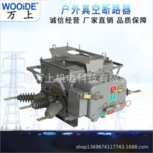 柱上开关真空断路器户外高压ZW20-12F/630 带看门狗智能分界ZW20