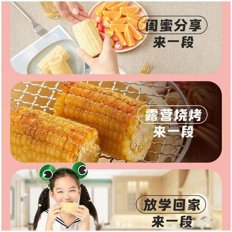 【10月稲畑 黄色もちとうもろこし 8段/8/16個】新鮮な東北もちもち新とうもろこし 低脂肪 真空パック|undefined