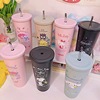 New cartoon pattern straw cup 304 stainless steel INS creative large -capacity dual -layer vacuum ice bully cup