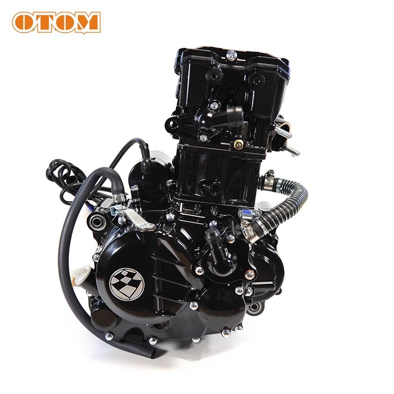 300Cc Normally Engaged Two-Stage Transmission Six-Speed Variable Speed Single-Cylinder Four-Stroke Water-Cooled Engine Zongshen Nb300 Assembly
