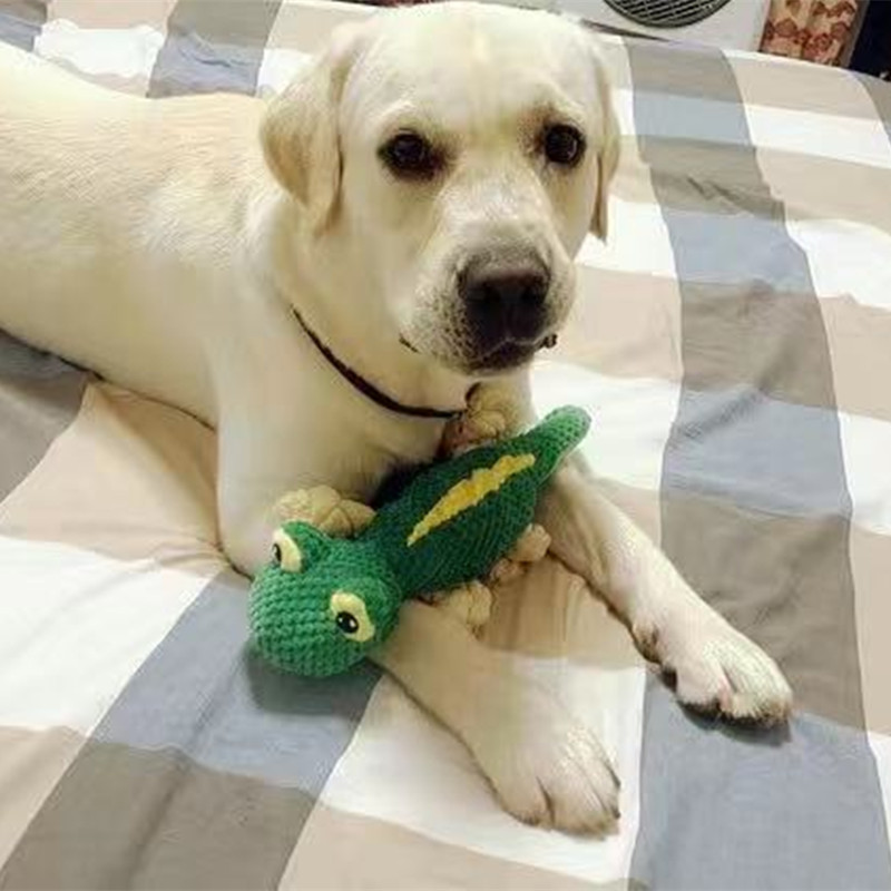 Buy quality Pet Toy Lizard, Dog, Cat, Tearresistant, Cotton Rope To