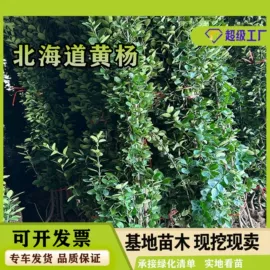 遮阳网;土工布;其他安全网