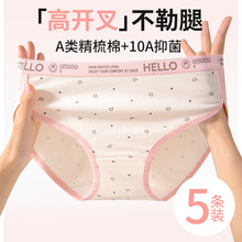 ���޿����d�������_���\�������L��Ů�W����ѝ�¿�Ůʿ����ѝ