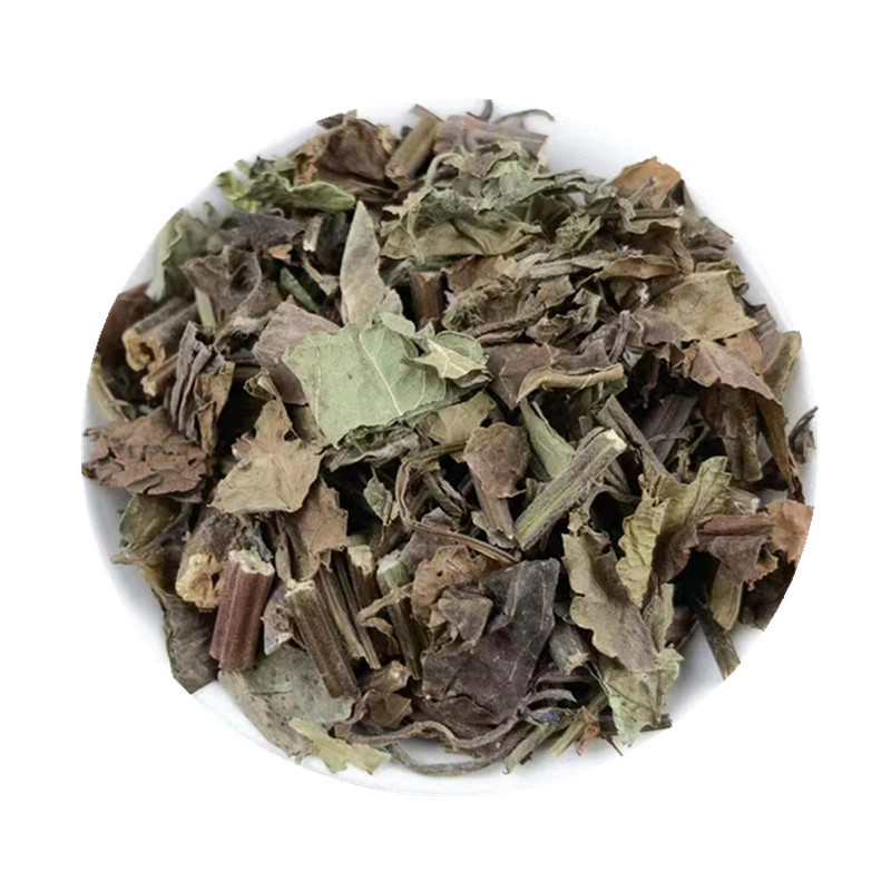 Shi Jian Chuan Dried Herb 500g Salvia chinensis Traditional TCM Decoction Herb in use
