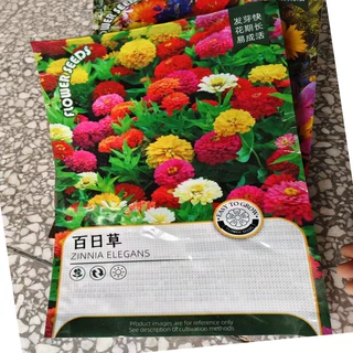 绿友种业源头厂家批发原装彩装草花种子百日草种子欢迎来样加工
