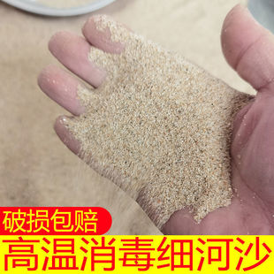 �ɺ�ɳ�ߜ���������ɳ��ͯ��ɳ���^�Y��ɳ�����ɳ�L��ɳ