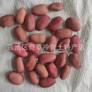 �t����,����,���l��ș�ļt����,���șʳͬԴ�t����