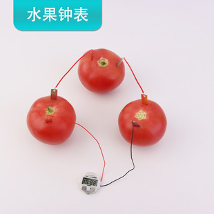 Fruit Potato Clock Battery Delivery Experiment Material Package Set Technology Primary School Students Kindergarten Kidsren DIY Production