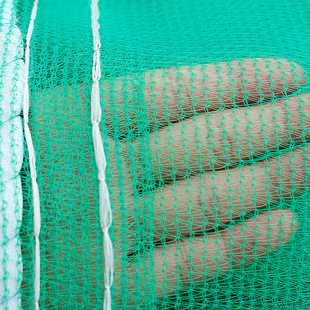 ���B��ȫ�W��ȼ��Ŀ�W���ع����b�޷��o��ݾW�wɳ���m�G���w���W