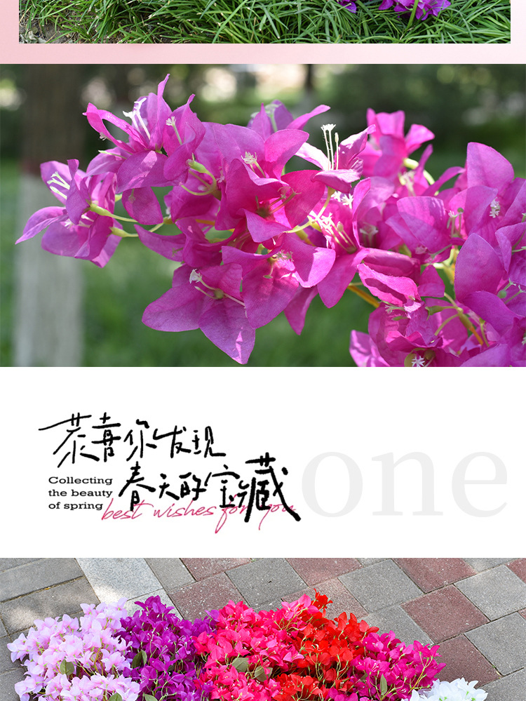 详情_02.jpg