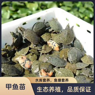 �����~�硿����С�M���~�����S�����Bֳ�^�p�~ˮ���~����ˮ���~��