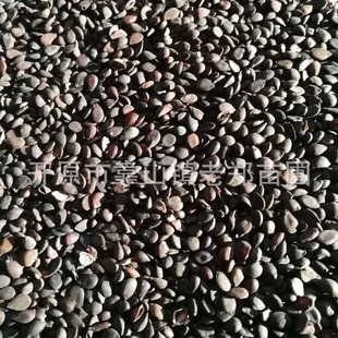 Yamanashi Tree Seeds Wholesale Pure Northeast Yamanashi Seedlings Export Landscape Forest Qiuzi Pear Seeds Flower Cover Pear Germ Fresh
