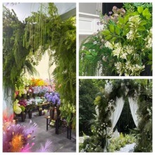 �Gɫ����ֲ��ɭϵ�Gֲ�����b���Y�b��G��������ើGֲ�����쾰