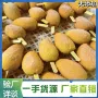 独立源头添加冷冻冰淇淋