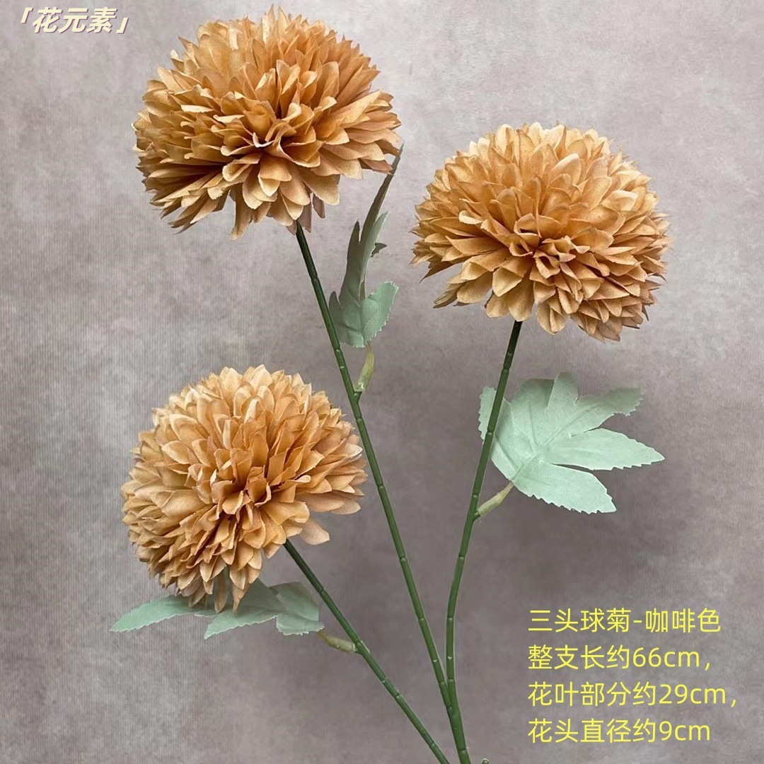 커피