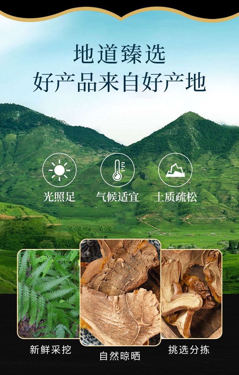 Gou Ji (Cibotium barometz) — Golden Hair Dog Spine Rhizome, Prepared & Powdered overview