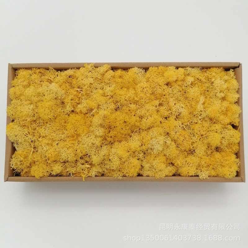 Musgo al por mayor de musgo peso neto 200g caja de regalo flores de musgo eternas accesorios para el hogar tiro ventas directas de la fábrica