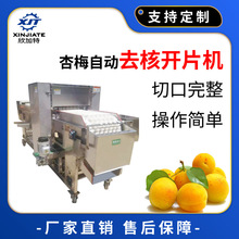 工厂直销 去核机 全自动杏梅取核分瓣机李子去芯切瓣一体机