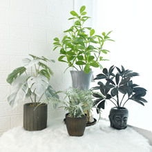 ƱW辰ֲٻ滨Ҿb Ʒ͏d҃[