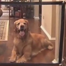 xWoWƄӌͯ܇ϵKxWyʽ܇dsW