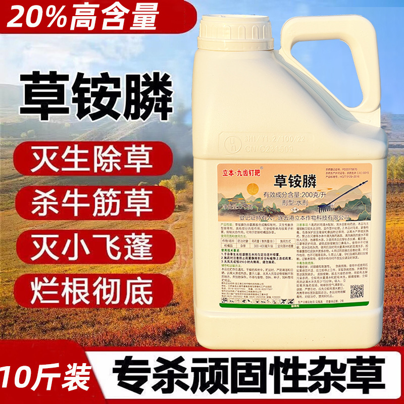 20%cinobacterium