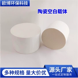 填料;滤片;催化剂用载体