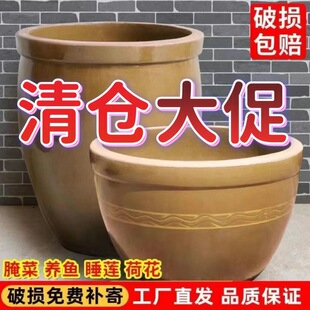 ~�մ����~���B�~��ʽ����ش�̖ͥԺ�ŷ����������쾰�ɻ����պ�