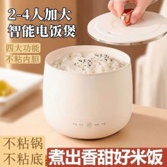 德国智能迷你电饭煲家用多功能电饭锅不粘内胆宿舍全自动小