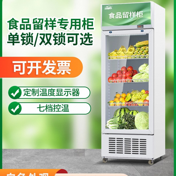 Refrigerated Fresh-Keeping Kindergarten Food Lockable Restaurant Canteen Household Small Refrigerator Commercial Display Cabinet Sample Storage Cabinet
