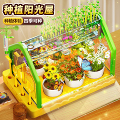 Children's pretend play sunlight room plant growing educational scientific experiment vegetable growing flower breeding biological toy gift wholesale