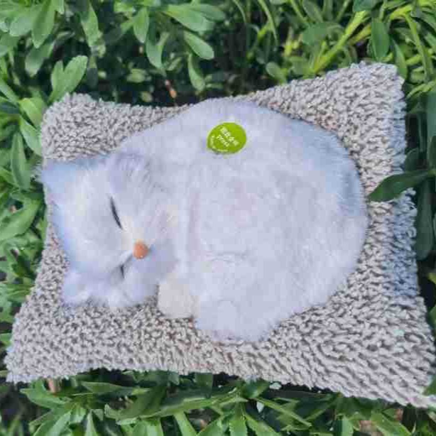 Decoración de automóviles pony pony llamará gatito simulado consola central adornos carbón activado eliminación de olor formaldehído suministros