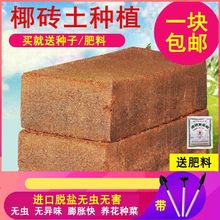 Ҭ��Ҭ�uҬ��Ҭ���m�����I�B���o����������|�ķN���������]