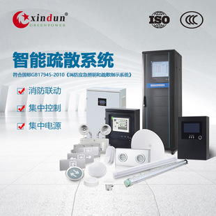 24V 36V Centralized Fire Emergency Power Indicator System A-Type Centralized Central Control Emergency Lighting Evacuation System