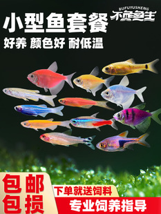 �ɹ����O���ǹ����R�~��ȸ��ʹ�t�G���~�Ꭷ�^�p�~��ˮ�~���w�~��