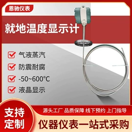 其他仪器仪表;温湿度变送器;压力表