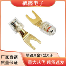 �~僽���푲���  Y�Ͳ����D�㽶�^ĸ USA���ӽӾ��� U��������^