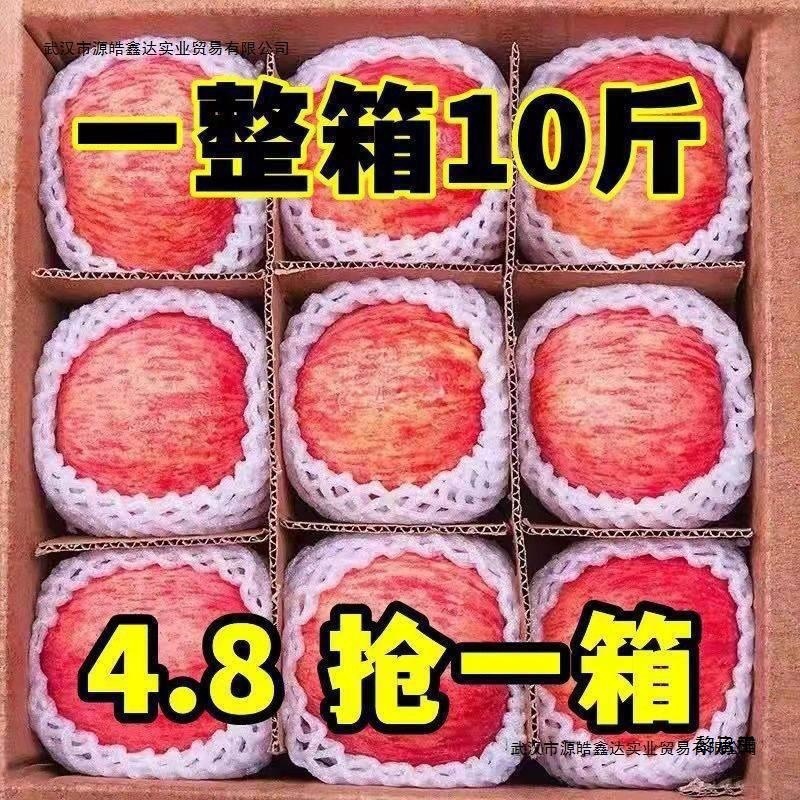 Authentic Shaanxi Luochuan Apples 5kg Fresh Seasonal Red Fuji Apples with Sugar Heart, Grade One, Crisp and Sweet, Whole Box with Free Shipping