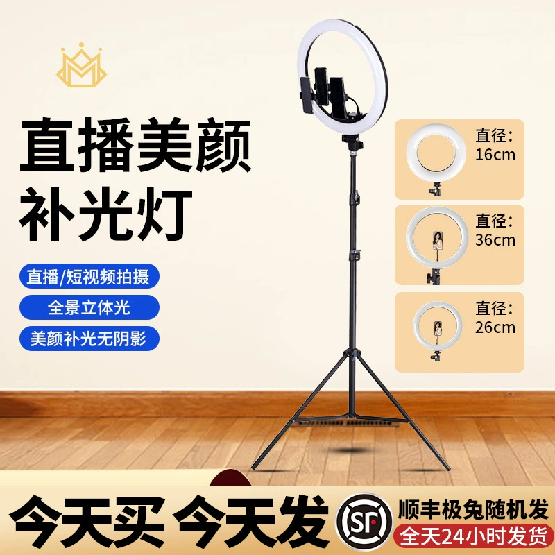 LED fill light, handheld two-color lamp, internet celebrity
